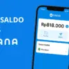 saldo DANA gratis