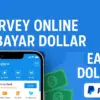 situs survey berbayar terpercaya