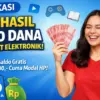 Aplikasi Penghasil Saldo DANA