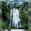 Curug Grigis Bunton