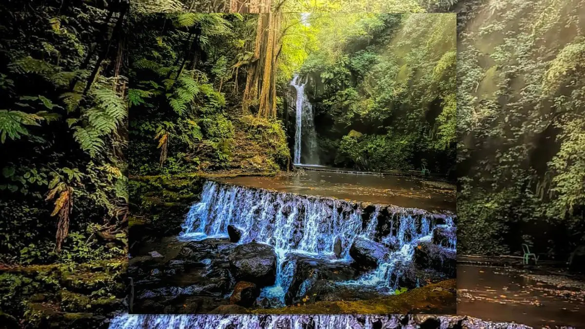 Pesona Curug Putri Palutungan, Wisata Alam Air Terjun Kuningan yang Wajib Dikunjungi! Curug Putri Palutungan