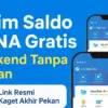 saldo DANA gratis
