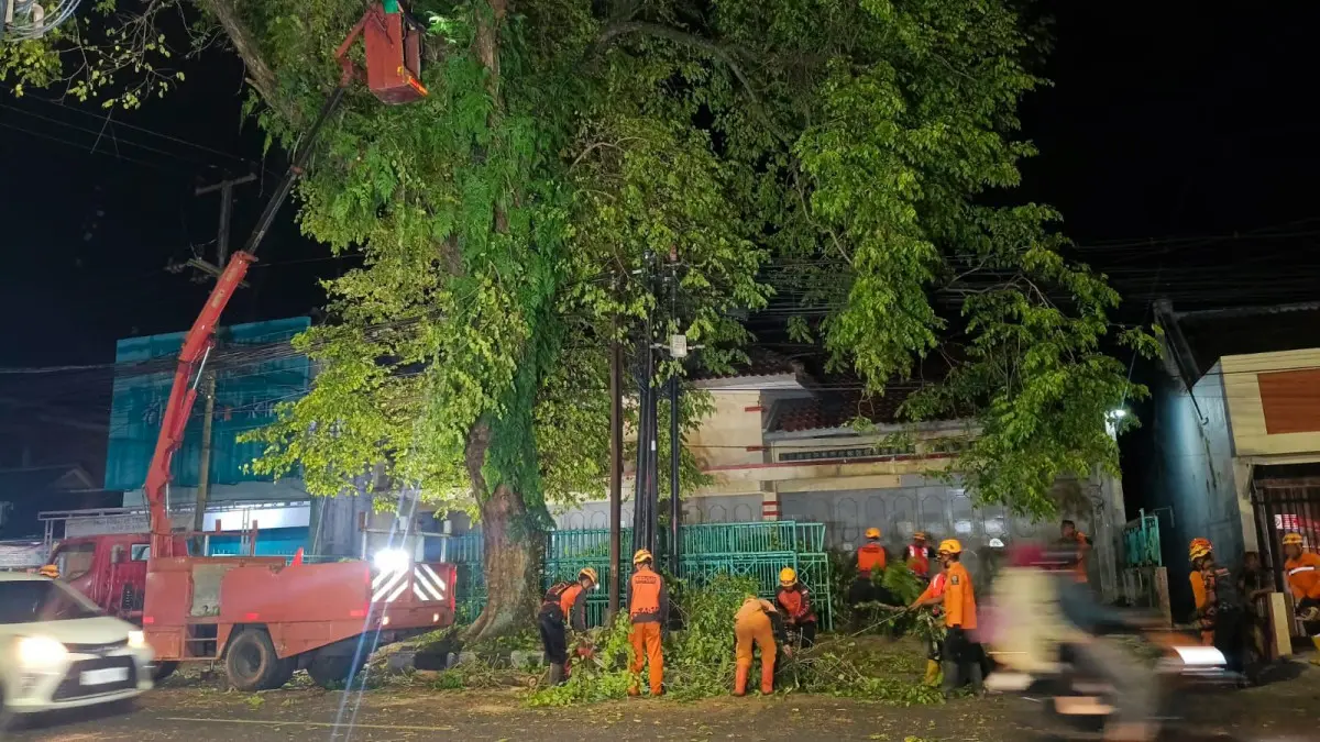pemangkasan pohon rawan tumbang di Kota Tasikmalaya