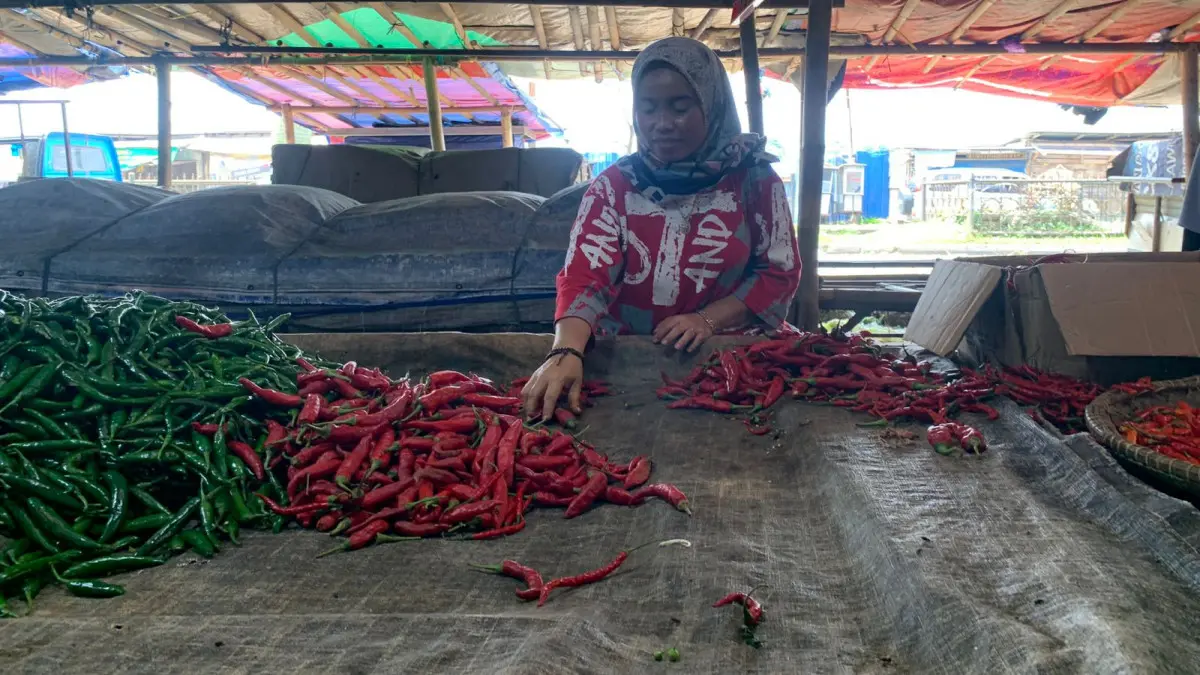 harga cabai naik jelang tahun baru di Kota Tasikmalaya