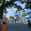 pemangkasan pohon rawan tumbang Kota Tasikmalaya