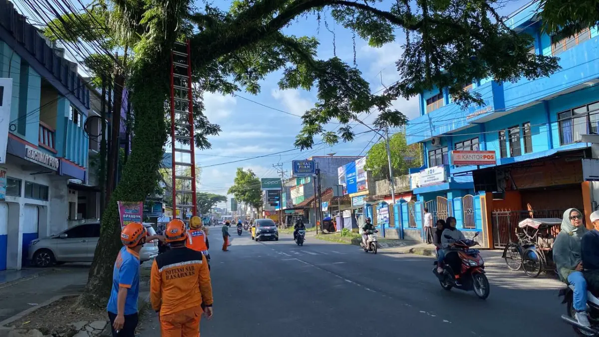 pemangkasan pohon rawan tumbang Kota Tasikmalaya