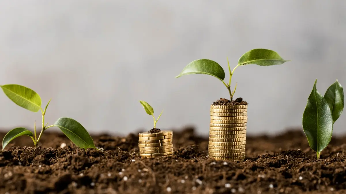 12 Investasi Sehari-hari yang Diam-diam Bikin Kaya, Banyak Orang Tak Menyadarinya Investasi