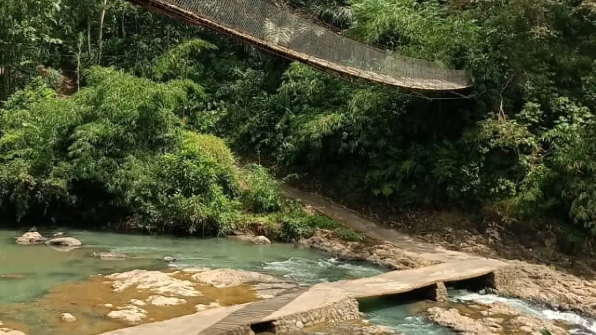 Dua Jembatan di Nagrog Cipatujah Kabupaten Tasikmalaya Bikin Waswas, Warga Pertaruhkan Nyawa Melewatinya Jembatan Nagrog Cipatujah Kabupaten Tasikmalaya
