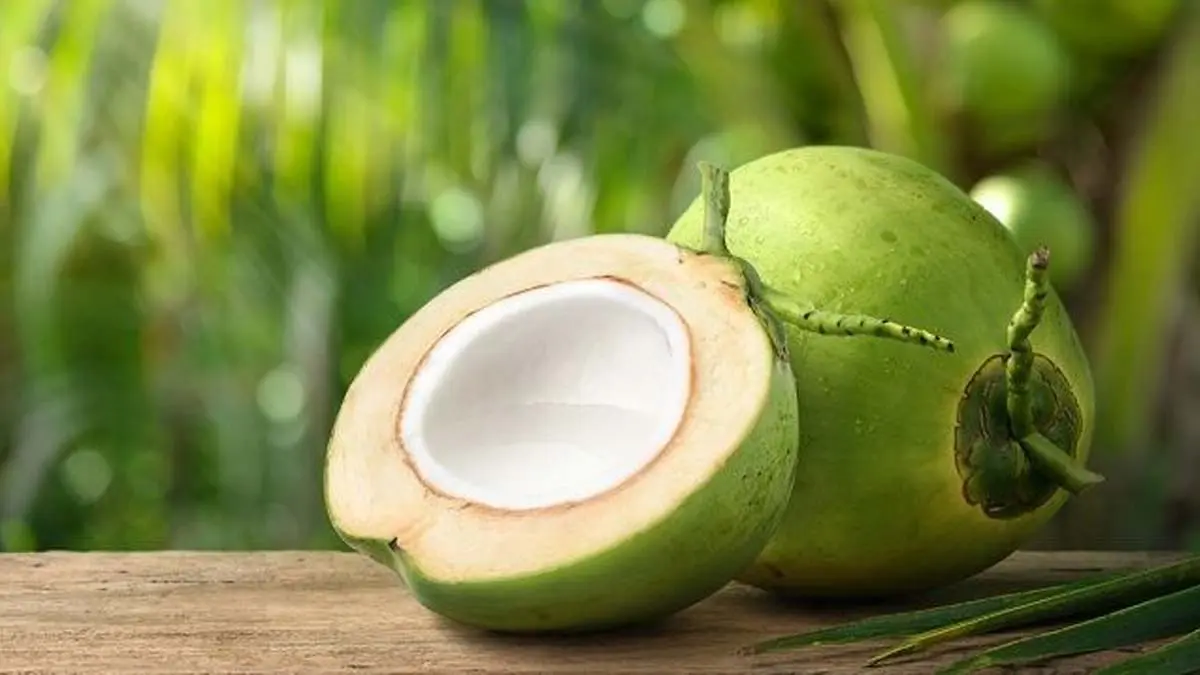 Kelapa di Pangandaran