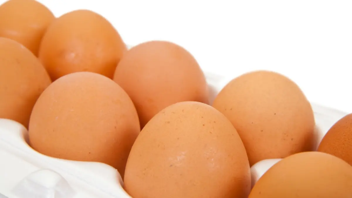 Mulai dari 20 Kilo, Ini Rahasia Jualan Telur yang Jarang Dibongkar Pebisnis Kecil Telur