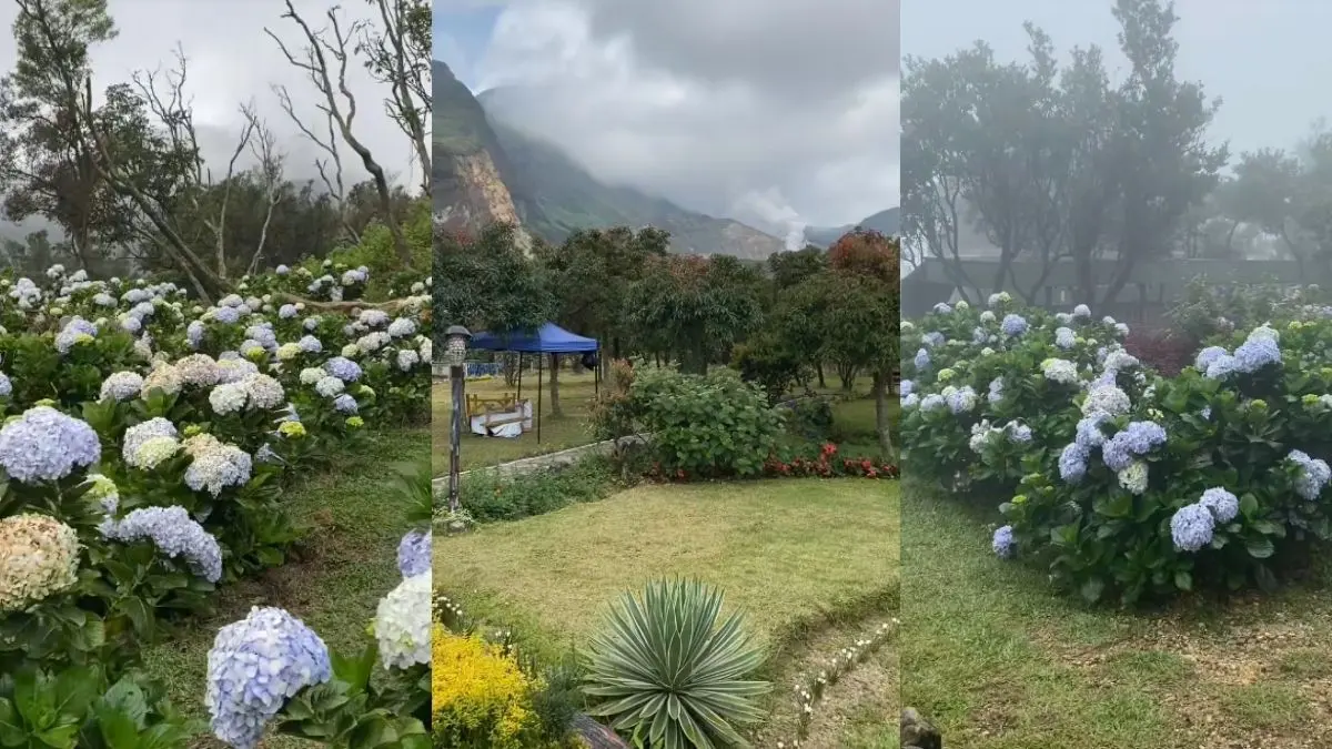 Orchid Garden Papandayan