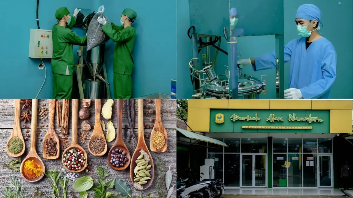 PT Berkah Alam Nusantara Ciptakan Produk Herbal Berkualitas di Tengah Permintaan Global Meningkat PT Berkah Alam Nusantara
