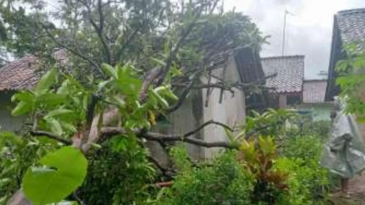 Pohong Tumbang di Ciamis