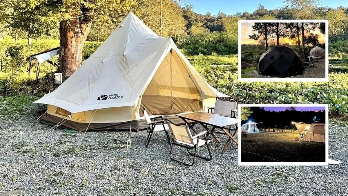 Nggak Perlu ke Korea, Rengganis Campsite Bandung Ciwidey Punya Nuansa Serupa Rengganis Campsite