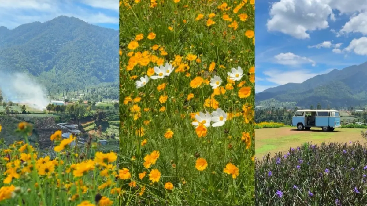 Tepi Gunung Nature Park