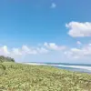 abrasi pantai selatan pangandaran