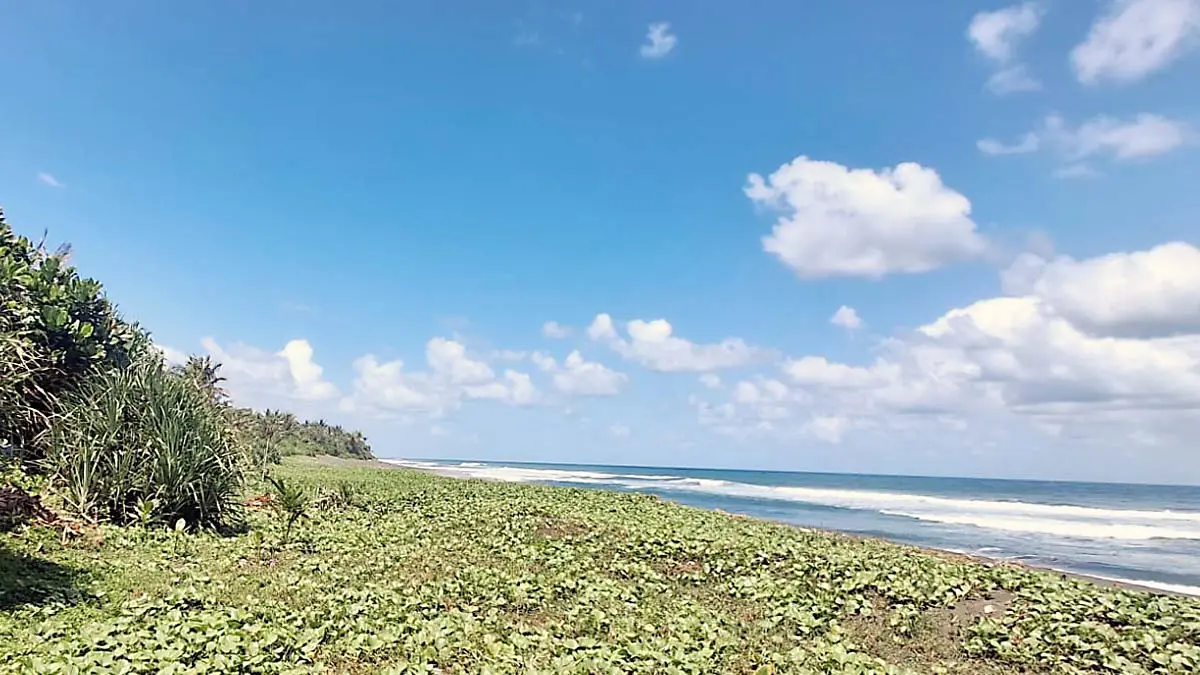 Abrasi Sepanjang 600 Meter Mengancam Garis Pantai di Pangandaran, Pemdes Ciparanti Berharap Ada Solusi abrasi pantai selatan pangandaran