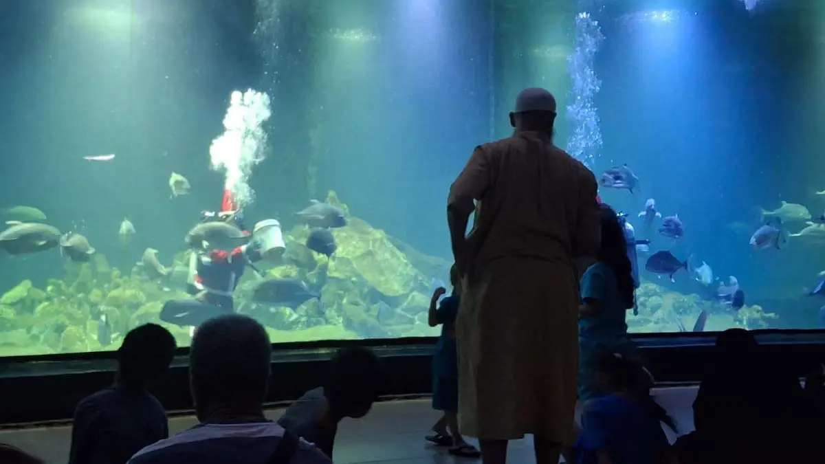 aksesibilitas Pangandaran, kunjungan wisata Pangandaran, Tol Gedebage Tasikmalaya Cilacap, kereta api Panganda