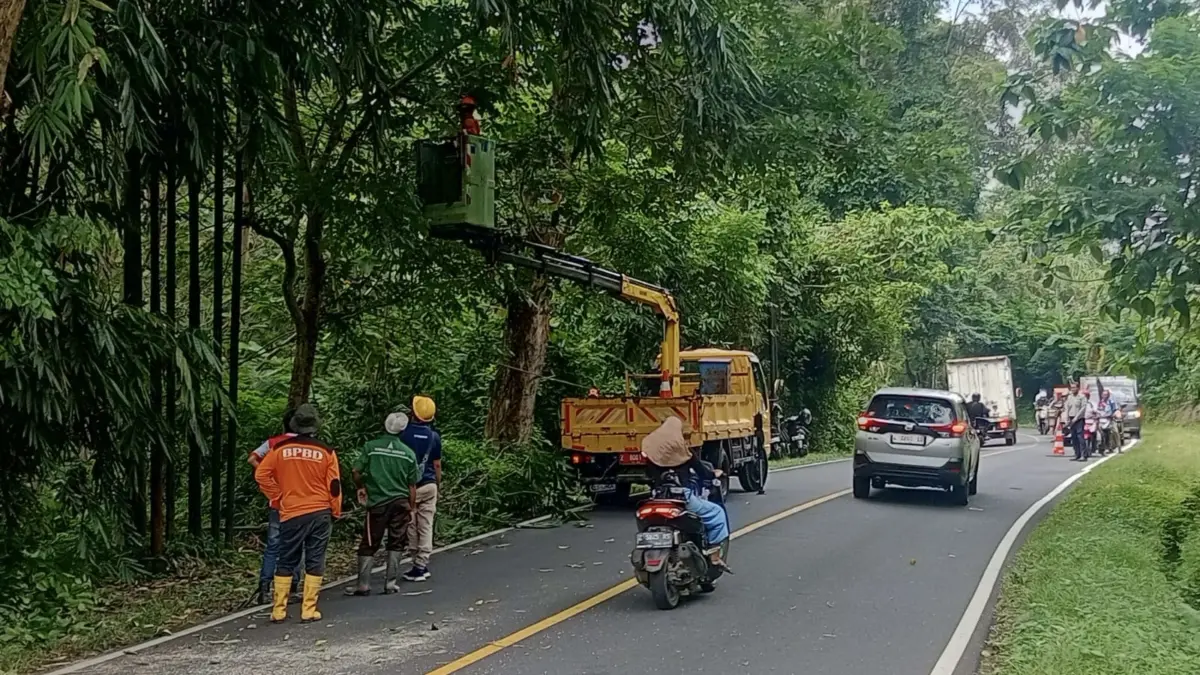 Rawan Menyebabkan Kecelakaan, Ranting Pohon di Jalur Pangandaran Dipangkas Tim Gabungan Kecelakaan pangandaran