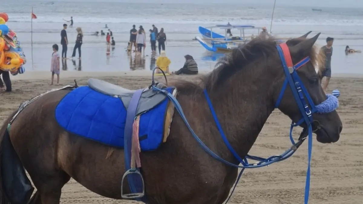 Ruang Usaha di Pantai Pangandaran Dibatasi Zonasi Pantai pangandaran, jasa usaha sewa, zonasi