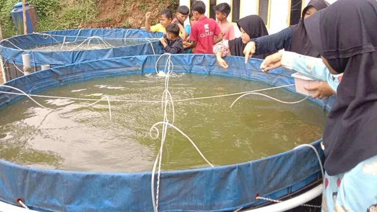 Benih Ikan Kota Banjar