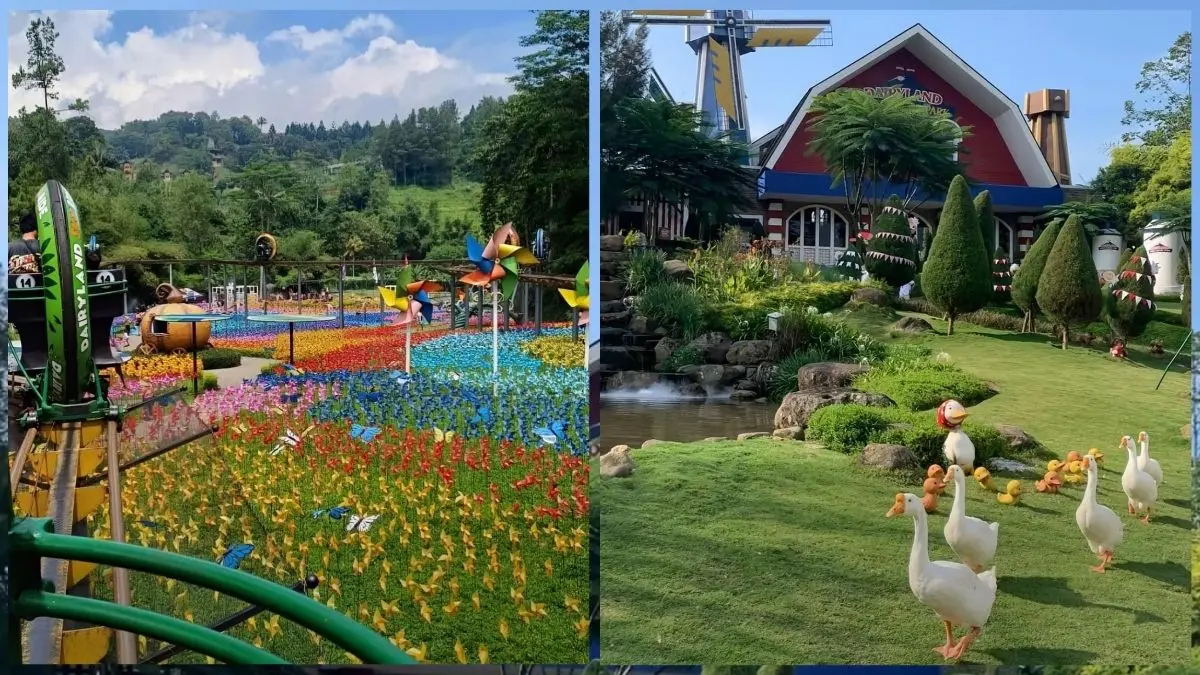 Liburan Akhir Pekan Jadi Seru! Jelajahi Dairyland Farm, Cimory Puncak Bogor Dairyland Farm