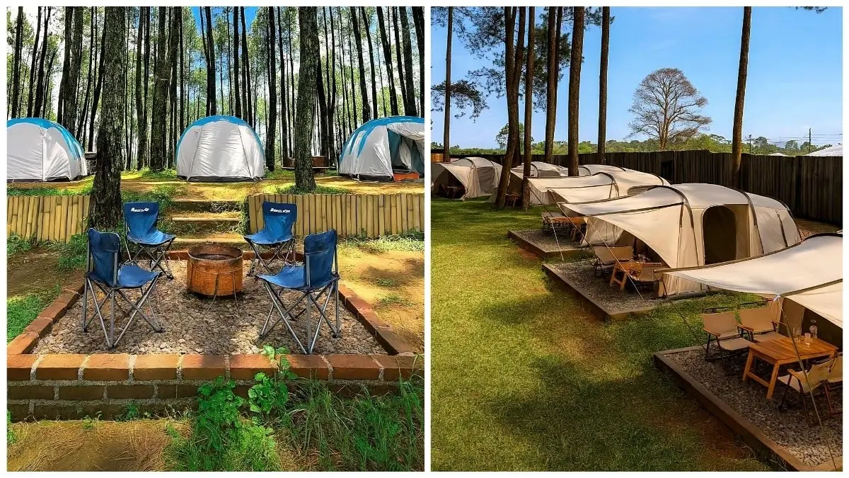 Datar Pinus Camp
