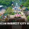Dinonesia Harvest City Bogor