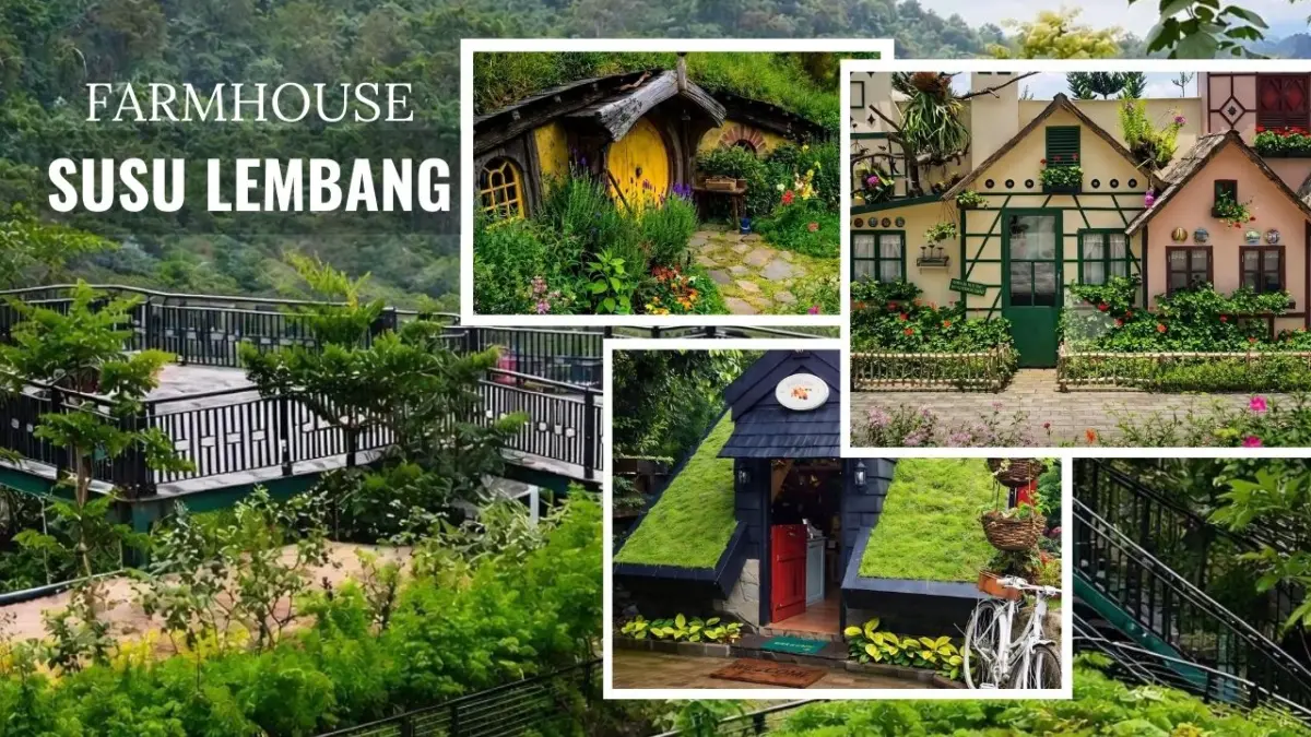 Pesona Farm House Susu Lembang Destinasi Wisata Bandung dengan Nuansa Eropa Farm House Susu Lembang