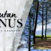 Hutan Pinus Pakawa Kertasari
