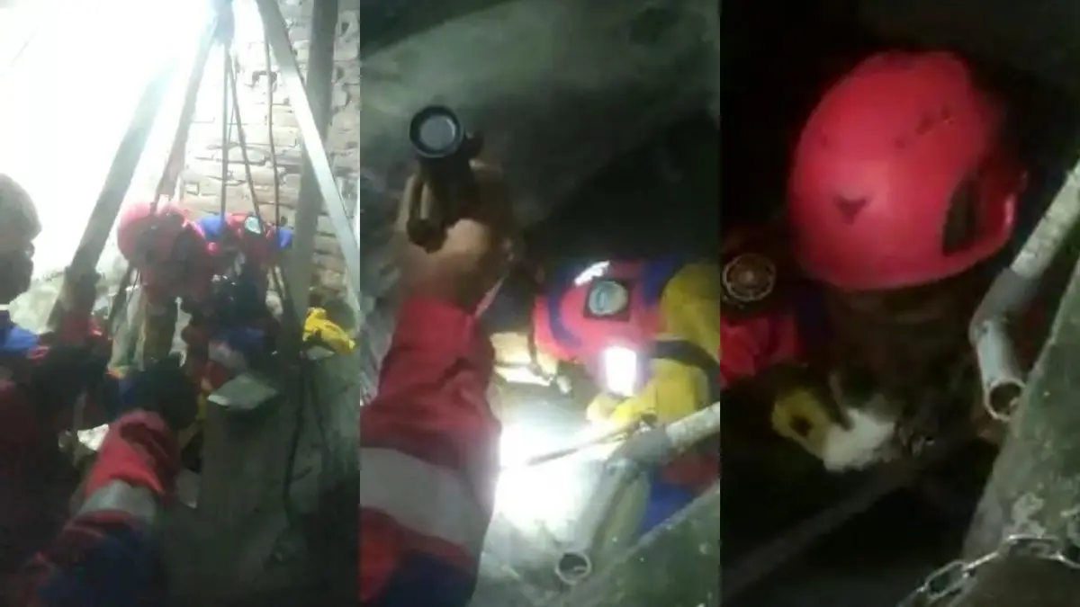 evakuasi kucing masuk sumur rumah di Kota Tasikmalaya