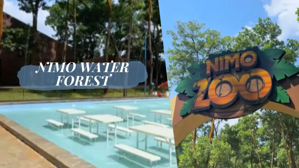 Temukan Keseruan Nimo Water Forest, Rekomendasi Liburan Seru di Wisata Purwakarta Wisata Purwakarta