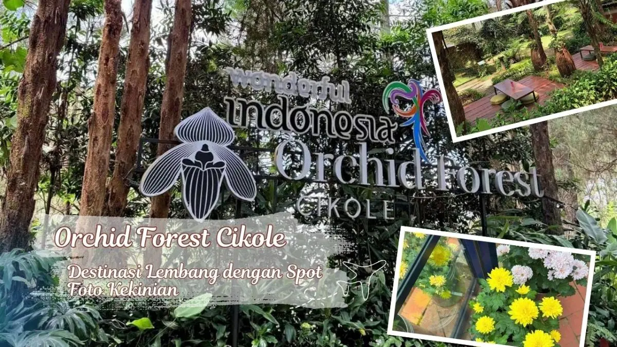 Liburan Seru di Bandung? Jangan Lewatkan Orchid Forest Cikole Lembang Ini! Orchid Forest Cikole