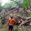 Pohon Tumbang di Ciamis Rusak Rumah