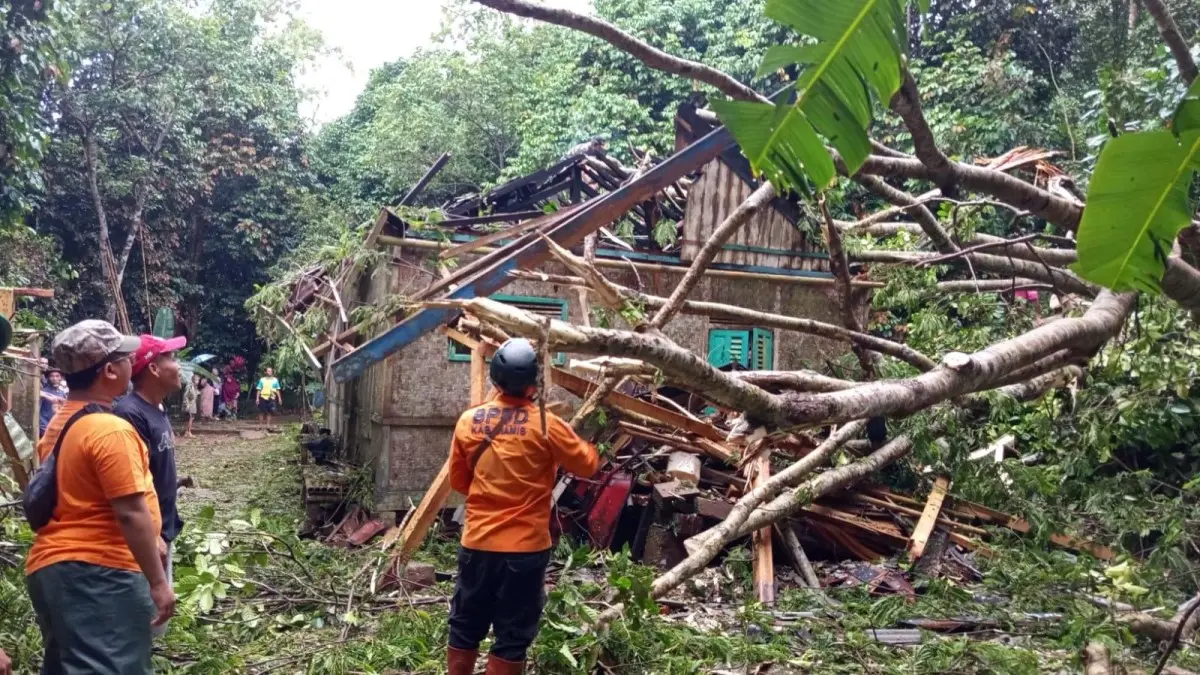 Pohon Tumbang di Ciamis Rusak Rumah