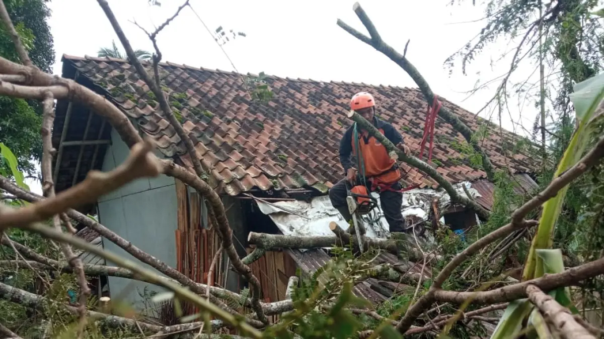Pohon Tumbang Rusak Rumah Warga Di Ciamis