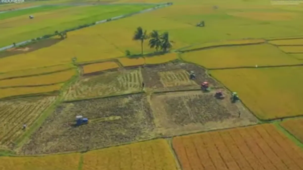 Swasembada Pangan: Produksi Beras Tertinggi Sepanjang Sejarah, Indonesia Berani Hentikan Impor Swasembada pangan