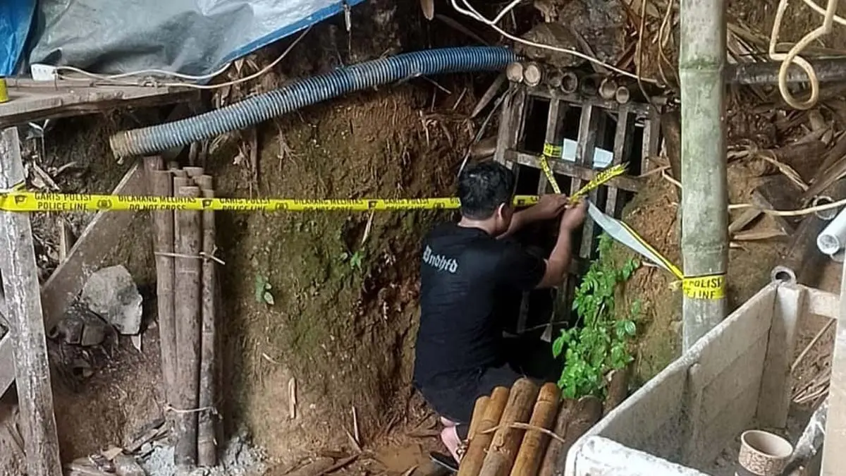 Pemodal Besar Ikut Disikat, Aparat Gabungan Tutup Total Tambang Emas di Blok Cengal Karangjaya Tasikmalaya Tambang emas karangjaya ditutup