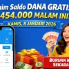 saldo DANA gratis