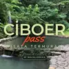 ciboer pass
