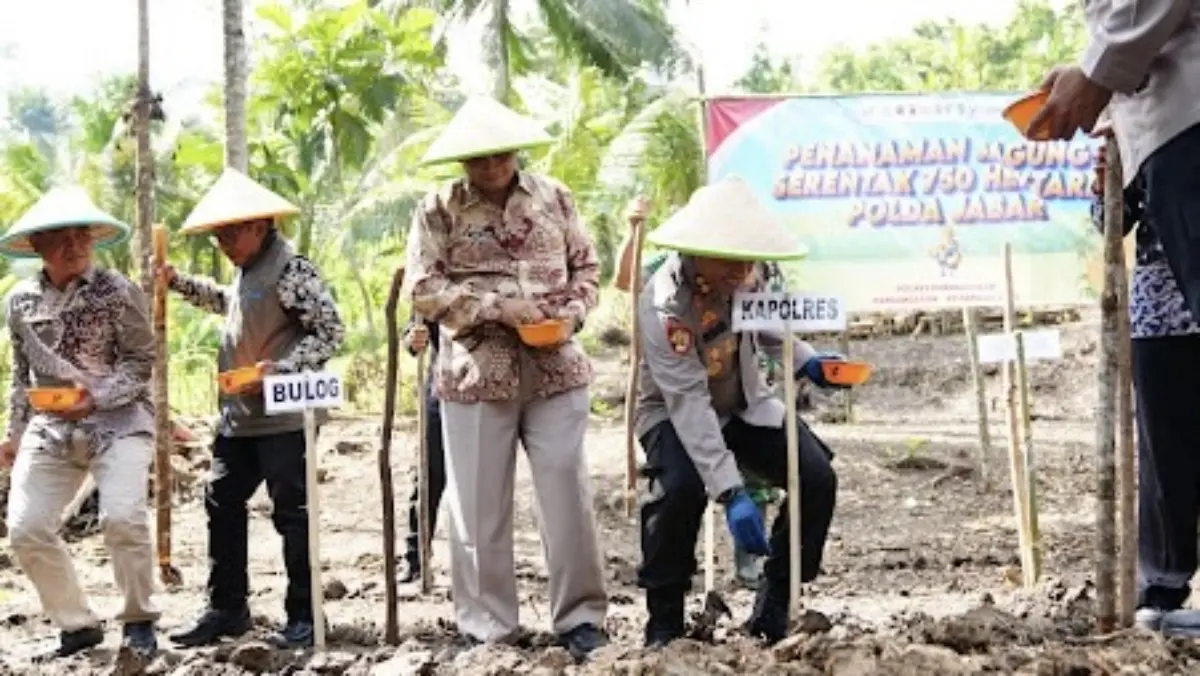 Penanaman jagung polres pangandaran