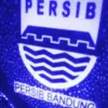 \"Adik\" Thom Haye Bermain Impresif di Persib Bandung