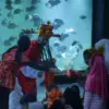 Aquarium indonesia pangandaran, wisata libur lebaran
