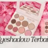 Eyeshadow Terbaik