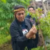 petani milenial Kota Tasikmalaya tanpa APBD