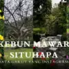 kebun Mawar Situhapa