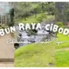 Kebun Raya Cibodas