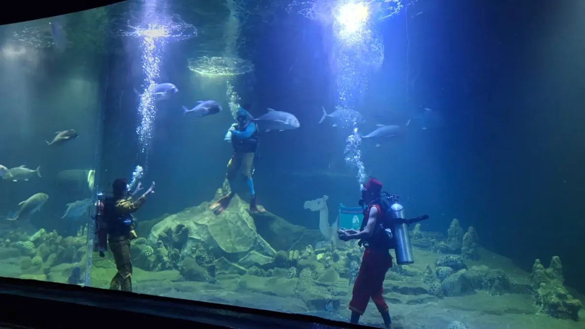 Aquarium Indonesia Pangandaran