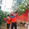 puluhan rumah rusak di ciamis