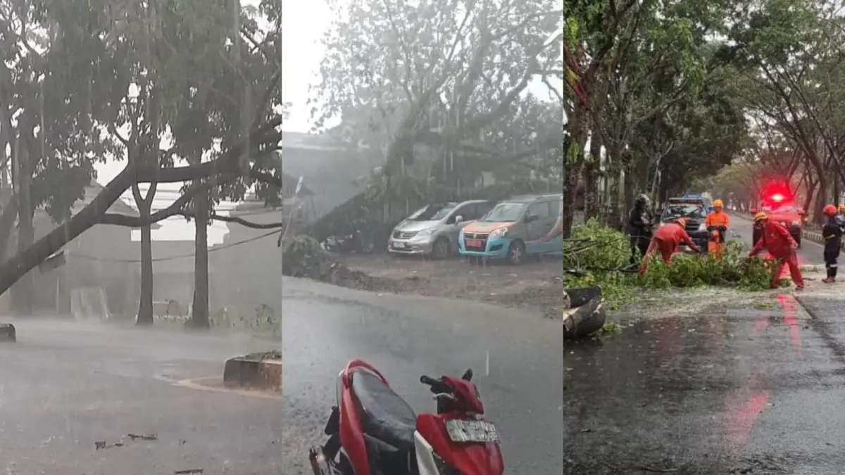 Lagi, Cuaca Ekstrem Melanda Kota Tasikmalaya: Pohon Tumbang Berjamaah Tutup Jalan dan Timpa Mobil cuaca ekstrem Kota Tasikmalaya hari ini